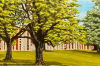W&L Campus in Summer by Tanya Broderick