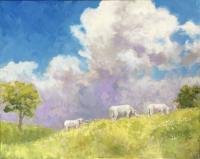 Cows and Clouds by Kim Hall