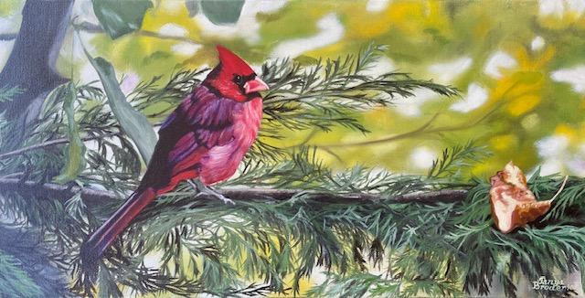 Cardinal Awaiting Spring by Tanya Broderick