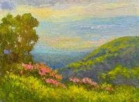 Blue Ridge Overlook in Spring by Julia Lesnichy