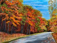 The Road to Autumn Adventure by Tanya Broderick
