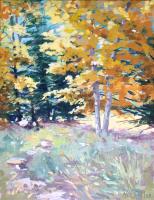 Cedars and Aspens by Mae Stoll
