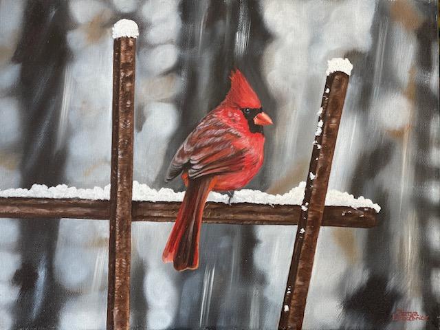 Cardinal in Winter by Tanya Broderick