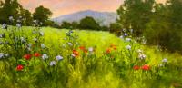 Wildflowers by Kim Hall